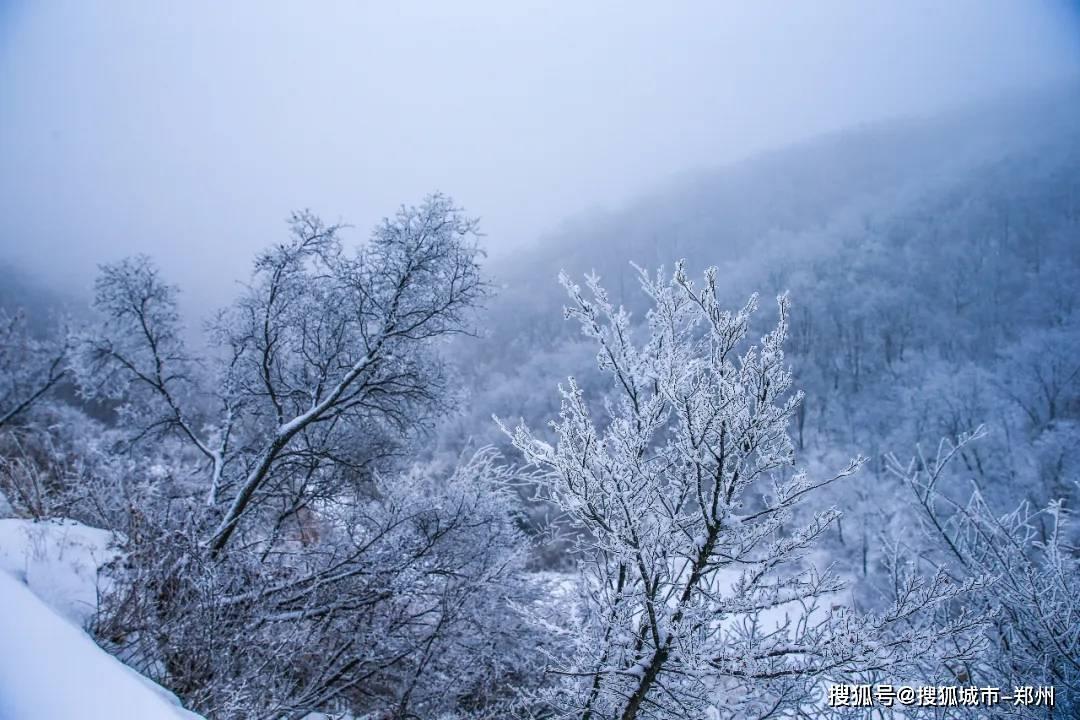 熊出没水果大陆2