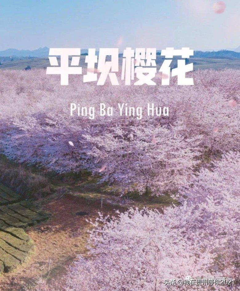 迷路的老奶奶
