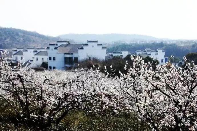 臭屁虫吃吃吃