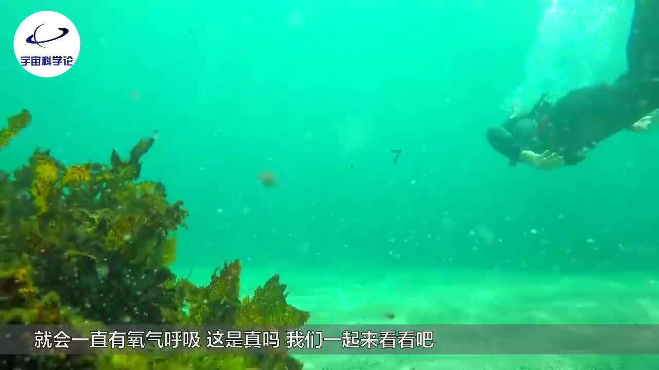 彼得比尔特379拼图