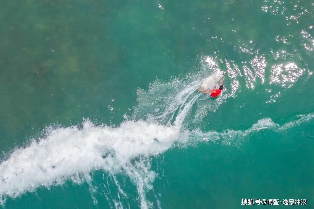 沪江开心词场