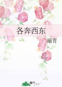 超黄金街霸4