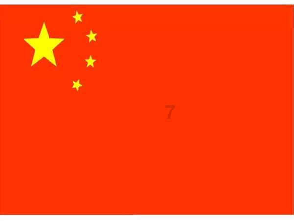 让动物飞一会