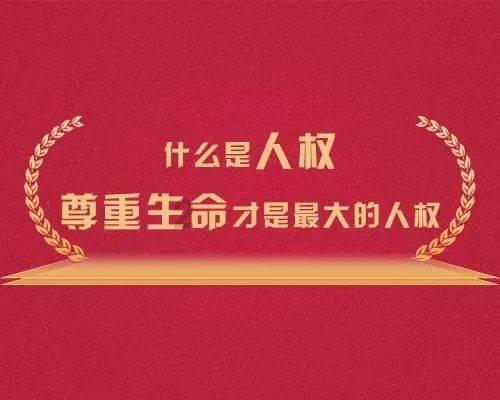 88影视