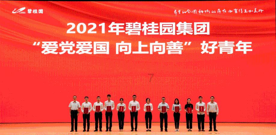 中世纪小镇找不同