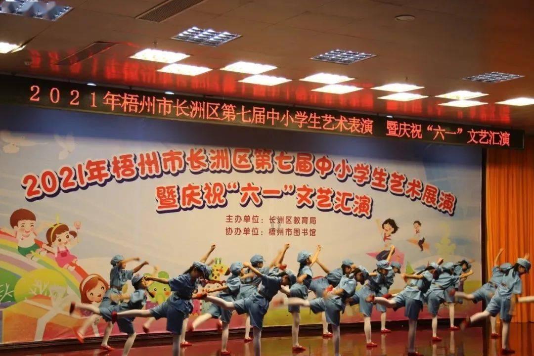 麻城市公立医院改革与高质量发展暨紧密型县域医共体七大中心建设推进会召开