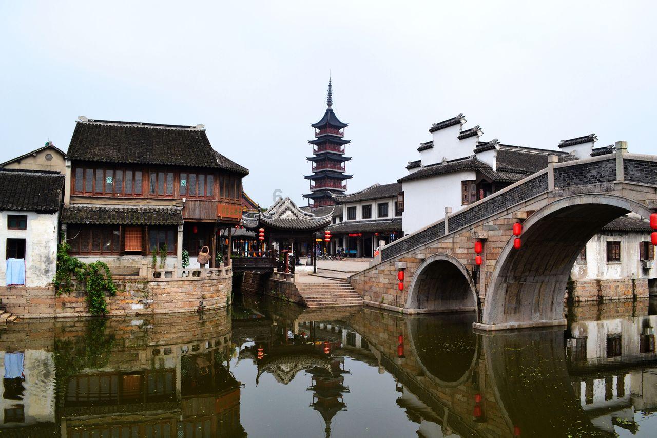 五彩鹦鹉救援