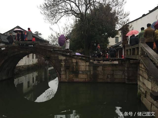 危险森林大逃脱