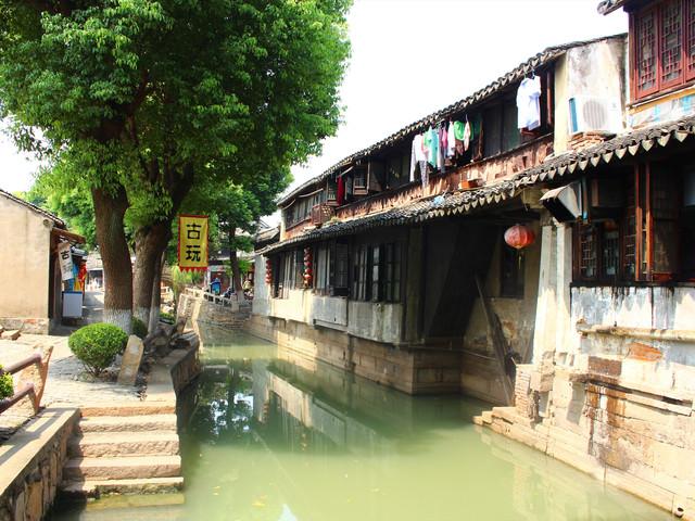 救援卷耳兔