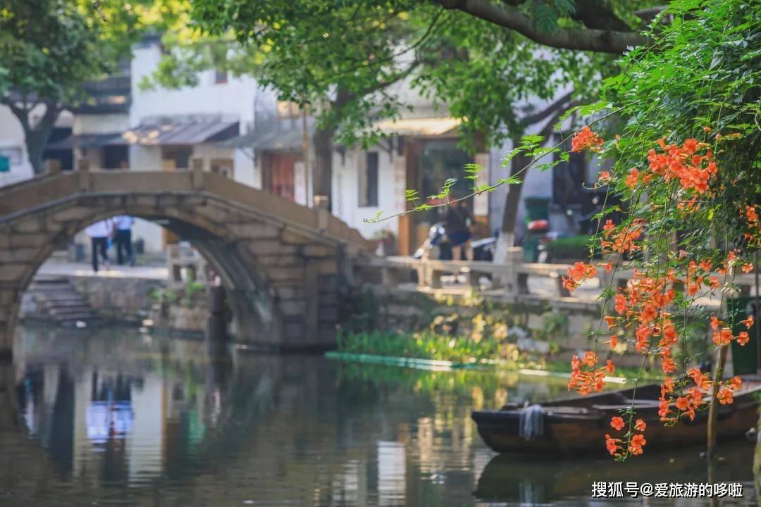逗小猴开心系列205