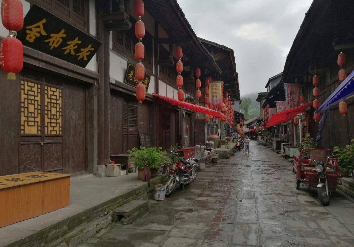 口袋森林世界杯防守战