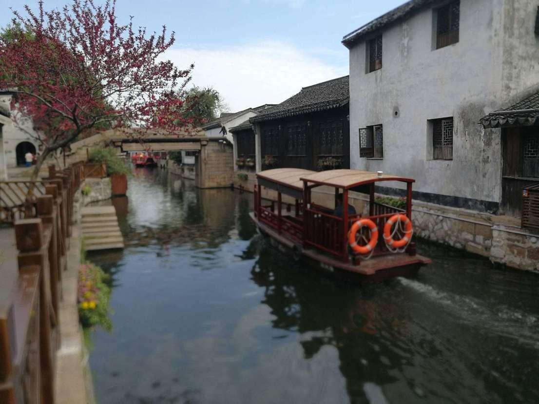 逃离梦想花园